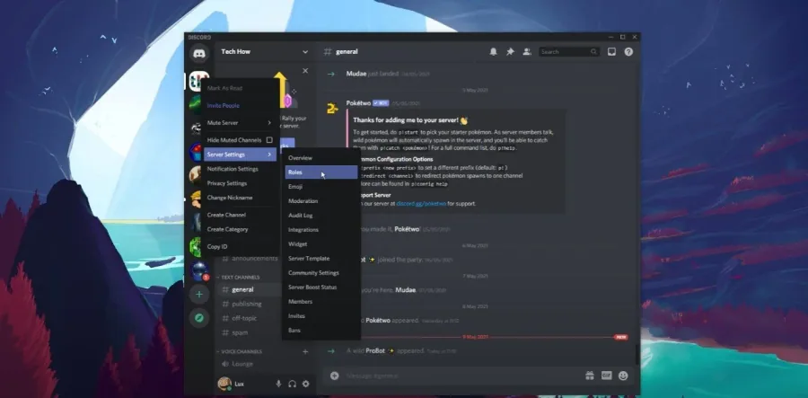 3 discord roles server settings.jpg