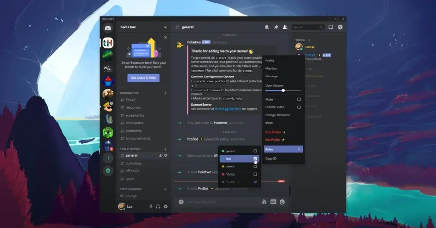 4 discord bot role.jpg