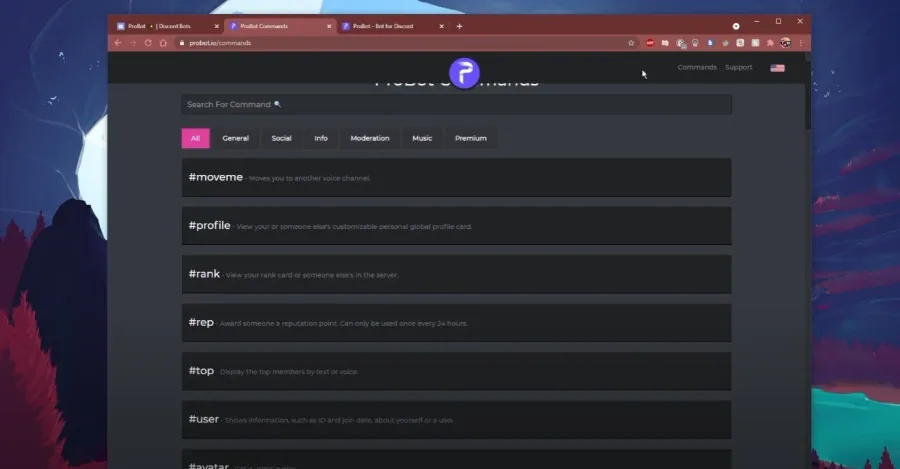5 bot commands.jpg