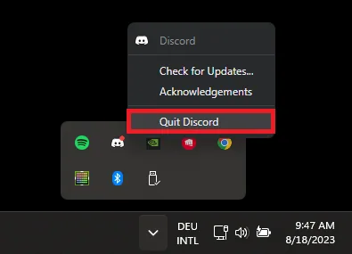 quit discord process