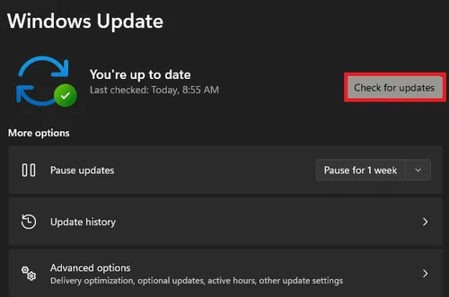 check for windows updates