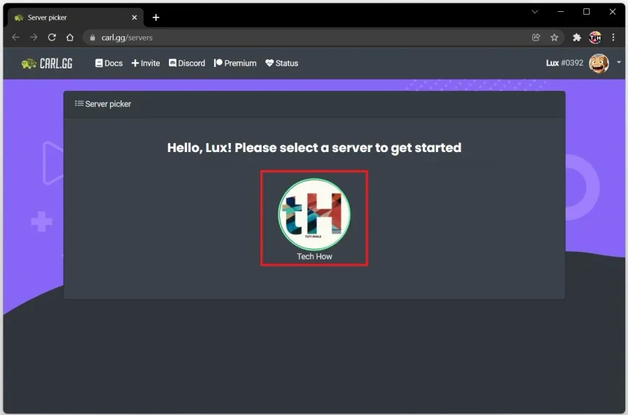 Allow Carl bot access to your Discord server