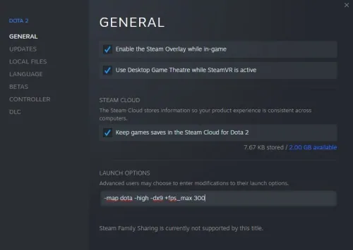dota2launchopt.jpg