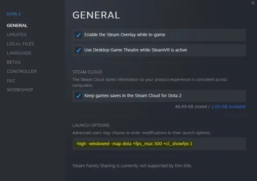dota 2 launch options.jpg
