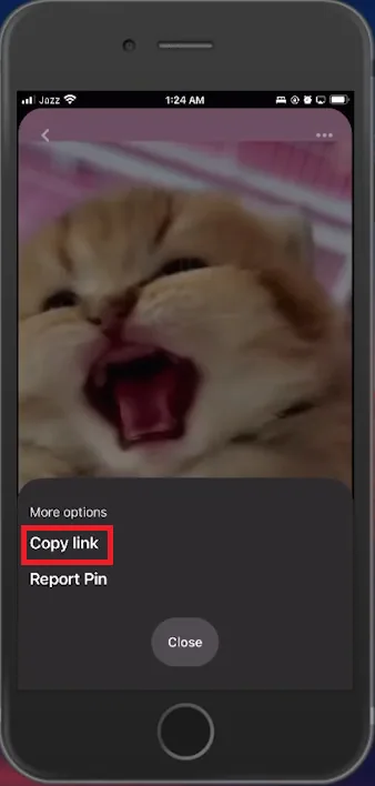 copy video link from pinterest
