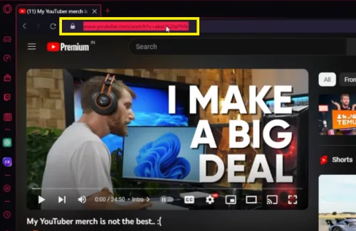 copy video URL