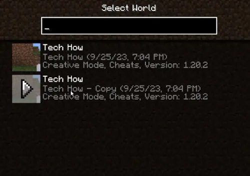 duplicated worlds