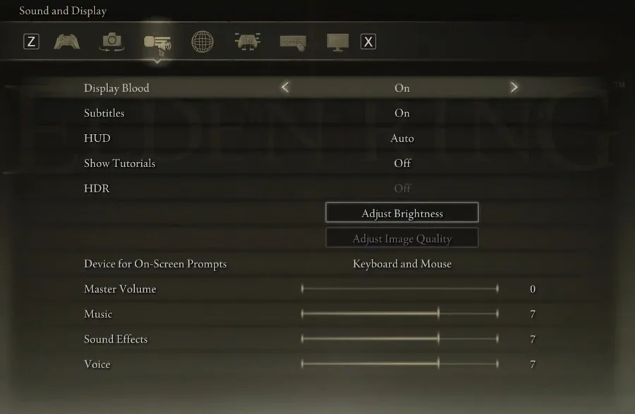 Elden Ring Settings > Sound and Display
