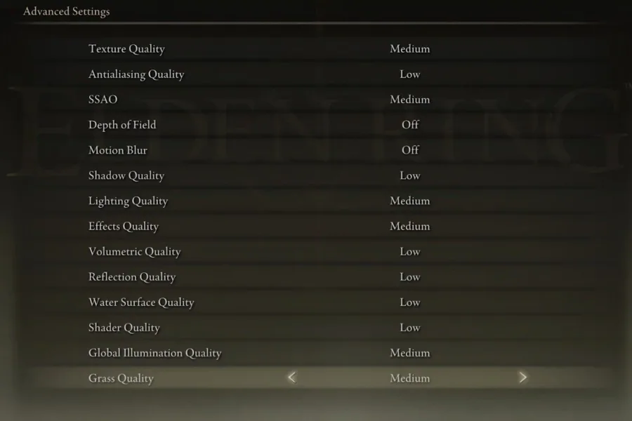 Elden Ring Settings > Advanced Graphics Settings