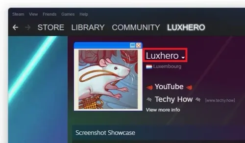 Change your Steam username