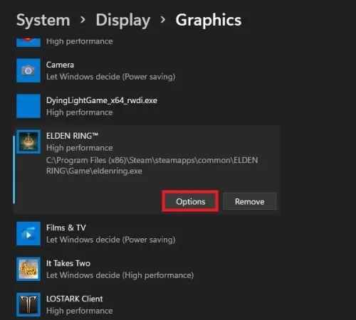 Graphics Settings > Elden Ring > Options
