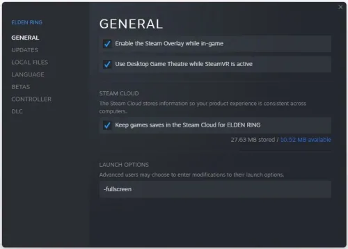 General > Launch Options