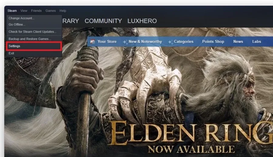 Steam > Settings