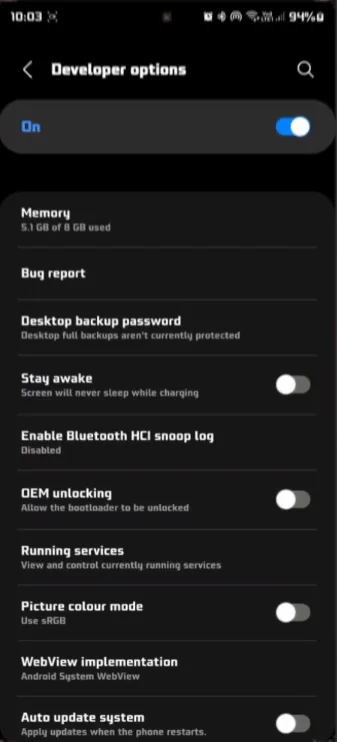 developer options
