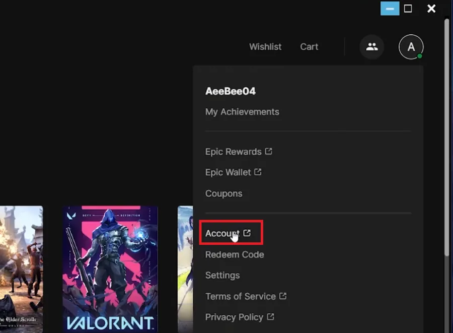 epic games account settings