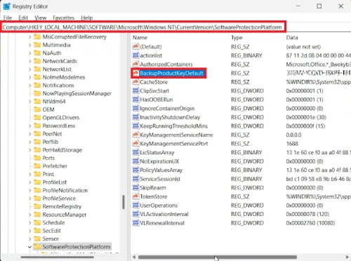 find digital license key