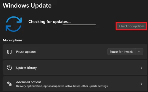 check for updates