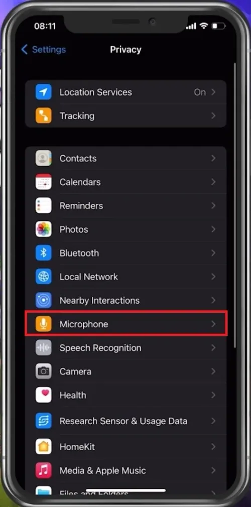 iPhone Settings > Microphone > Fortnite