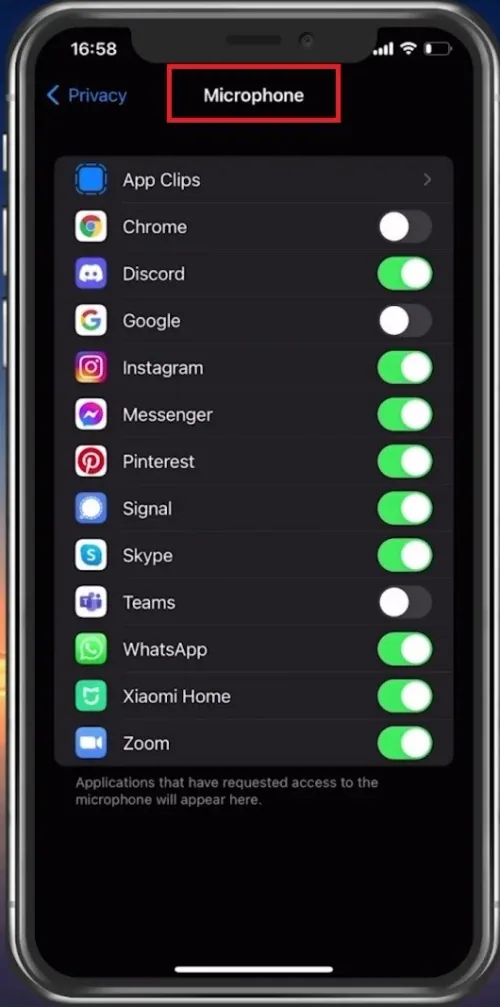 iPhone Settings > Privacy > Microphone > Free Fire