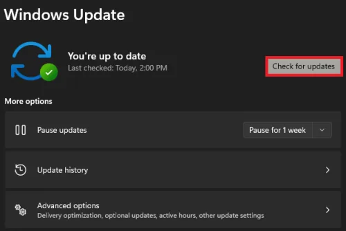 windows update settings