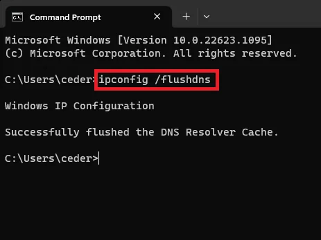 flush dns cache