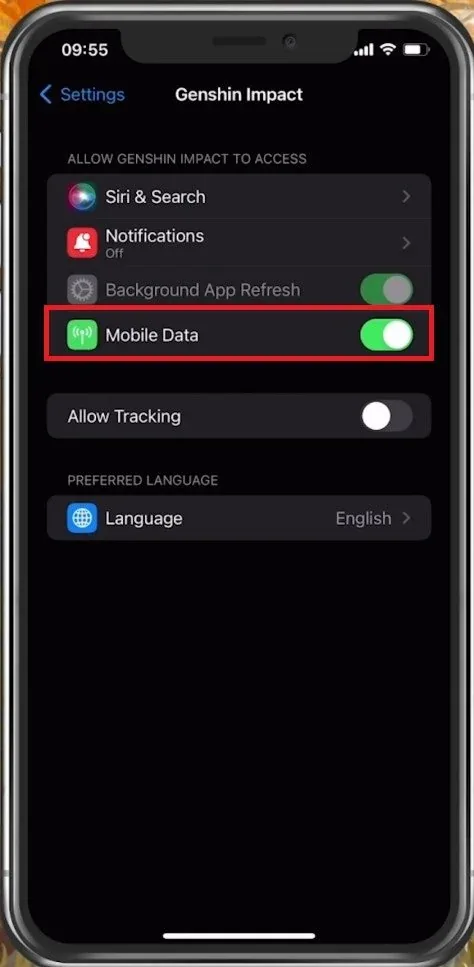 iPhone Settings > Genshin Impact > Mobile Data