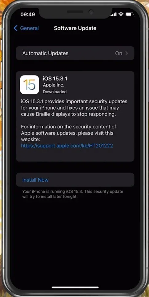 iPhone Settings > General > Software Update
