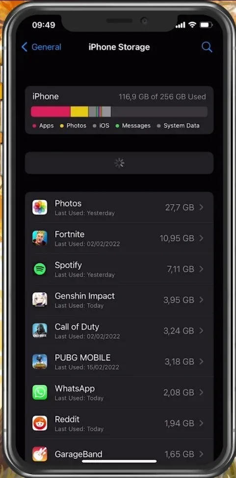 iPhone Settings > General > iPhone Storage