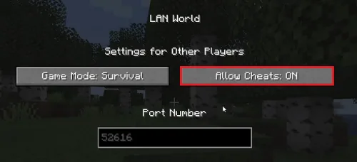 allow cheats