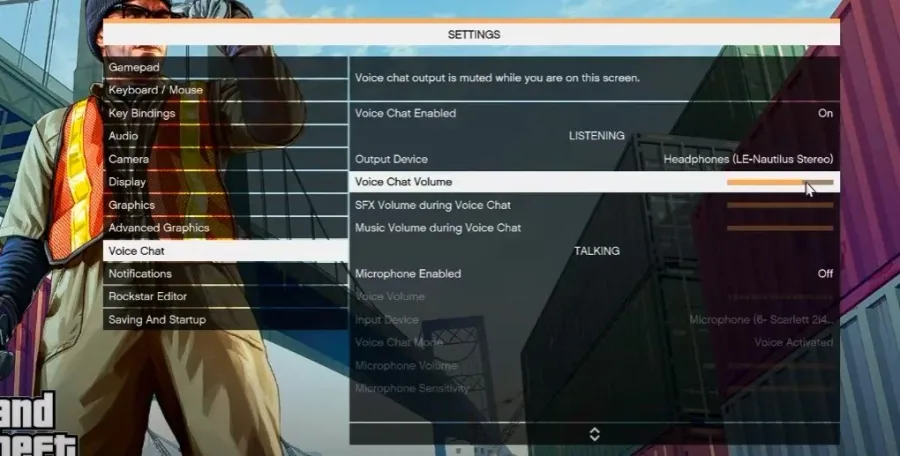 2 voice chat settings.jpg