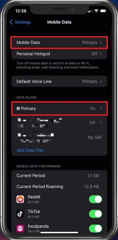 iPhone Settings > Mobile Data