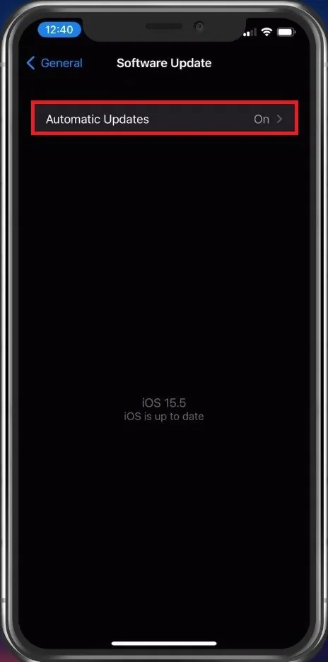 iPhone Settings > General > Software Update