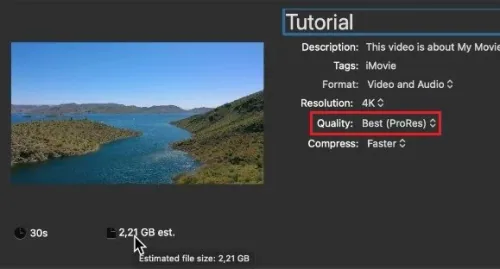 When setting this option to ProRes, which is a lossless video compression format,…