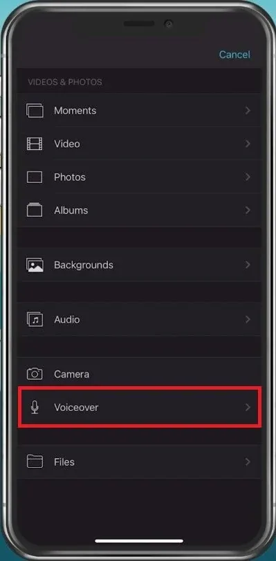 Import > Voiceover