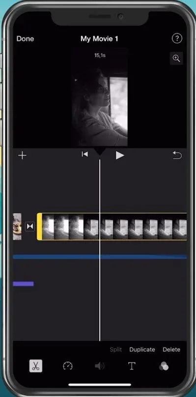 Ensure your footage uses the same aspect ratio before exporting