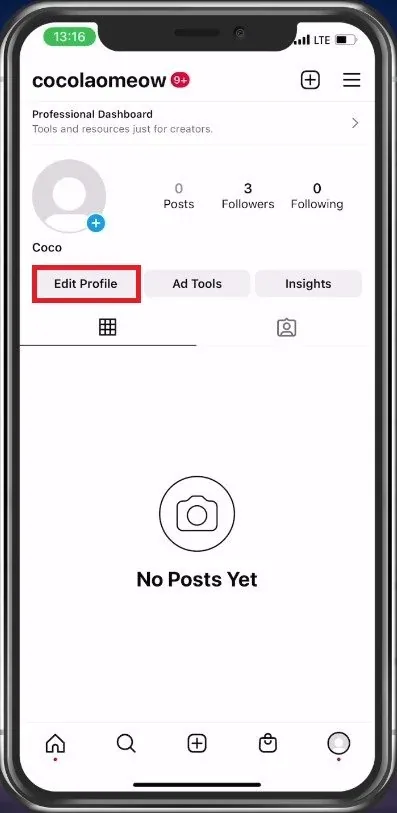 Instagram Account > Edit Profile