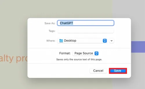 page source file