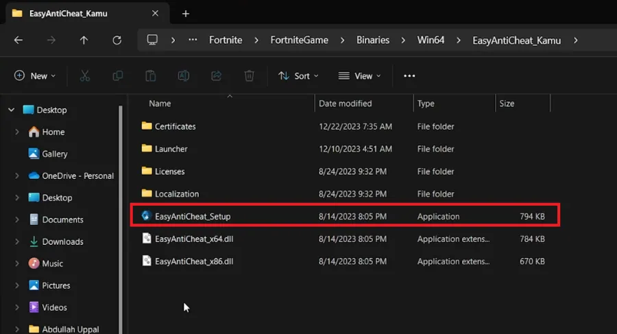run setup file