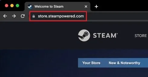 Install Steam Launcher on macOS