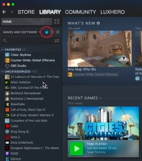 Steam Library