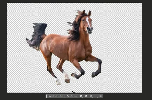 remove background of an image