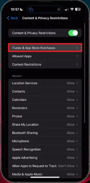 content and privacy restrictions