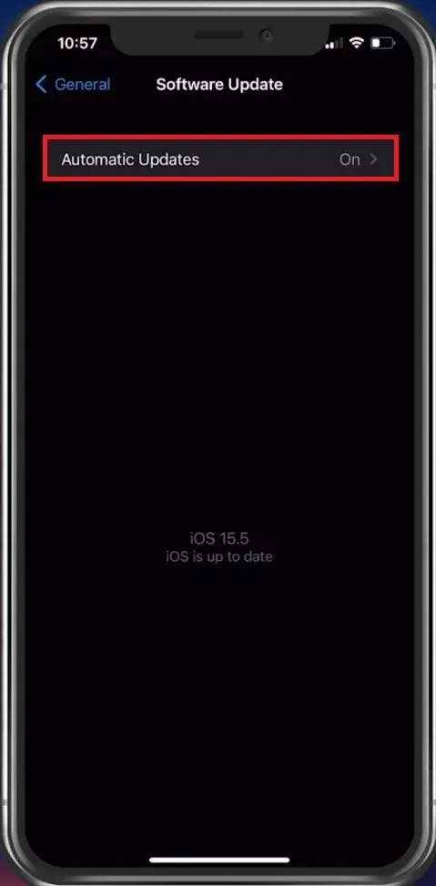 iPhone Settings > General > Software Update