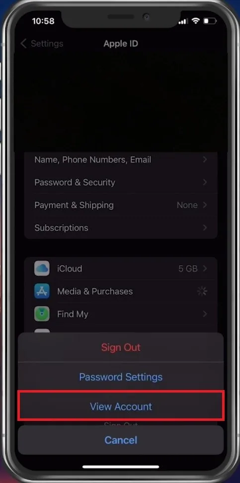 Apple ID > Media and Purchases > View Account