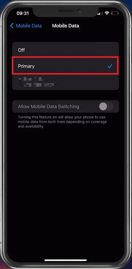 iPhone Settings > Mobile Data > Primary