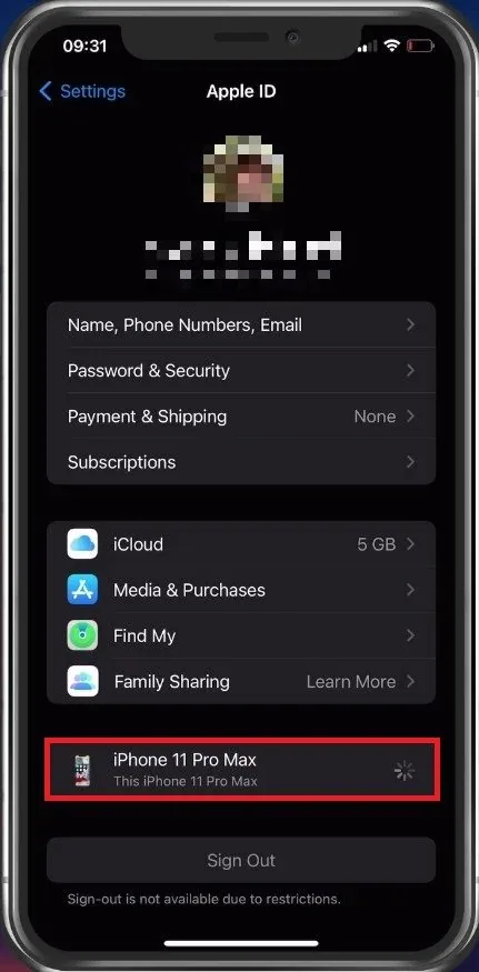 iPhone Settings > Apple ID