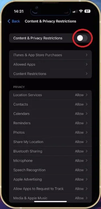 iPhone Settings > Screen Time > Content & Privacy Restrictions