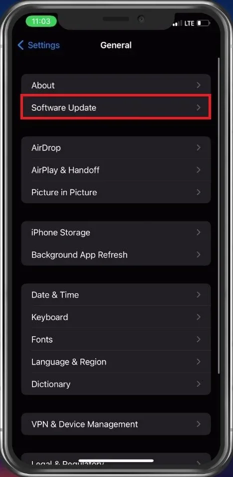 iPhone Settings > General > Software Update