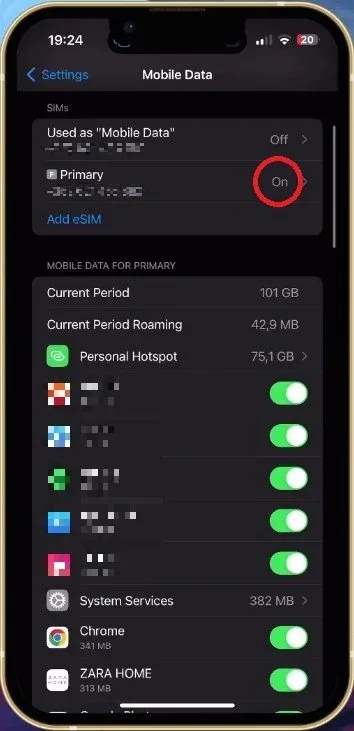 iPhone Settings > Mobile Data > SIMs