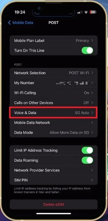 iPhone Settings > Mobile Data > Voice & Data